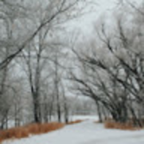 Meet your Posher, Jenny - Picture 1 of 1